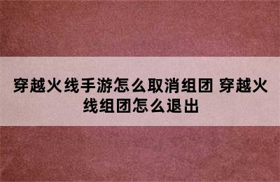 穿越火线手游怎么取消组团 穿越火线组团怎么退出